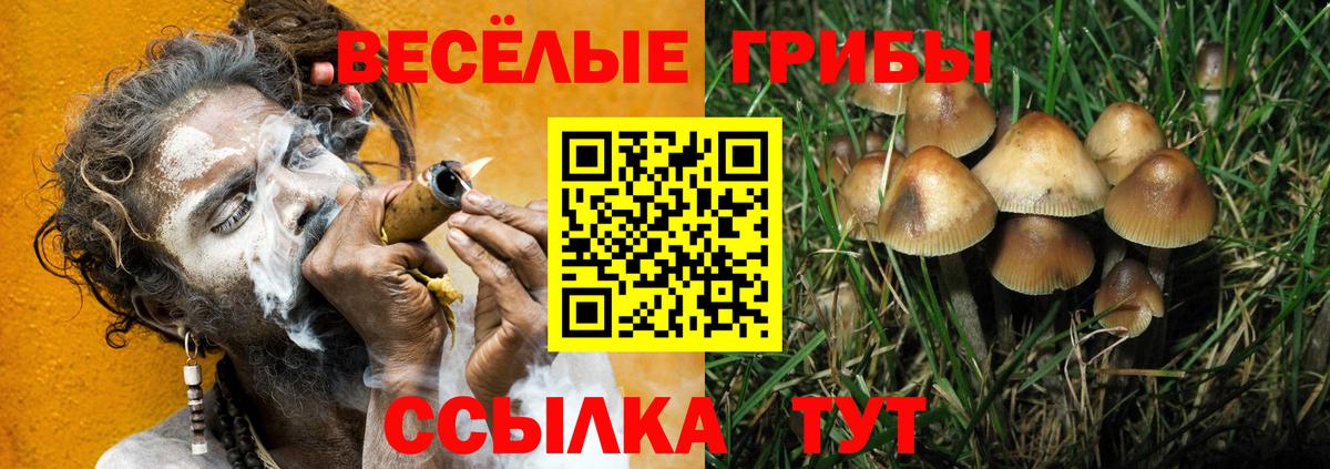 Галлюциногенные грибы прущие грибы Кызыл