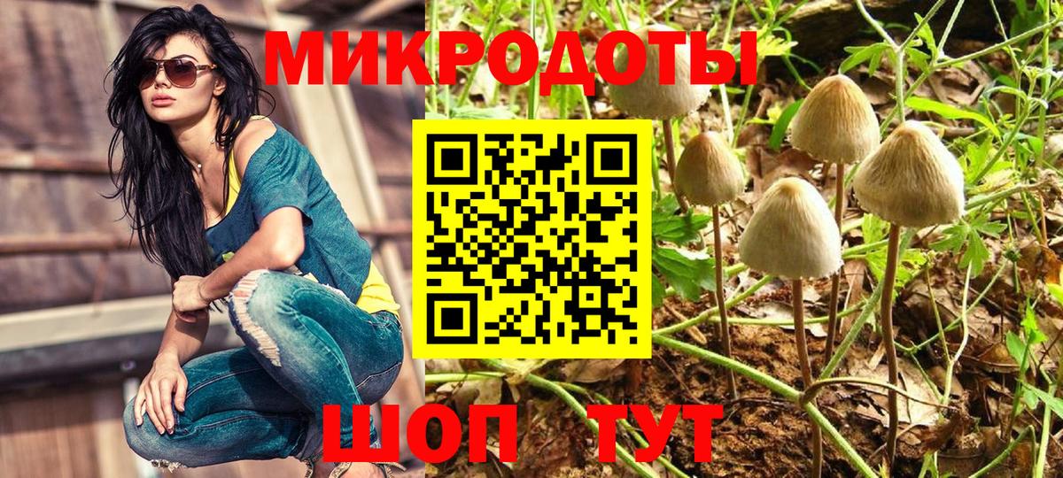 Галлюциногенные грибы GOLDEN TEACHER  цены наркотик  Кызыл  Вход с VPN 